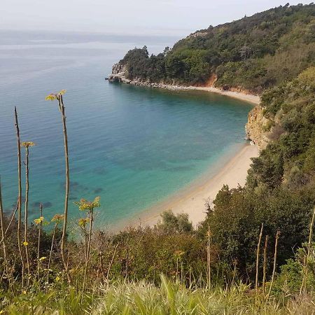 Apartments Orange Μπούντβα Εξωτερικό φωτογραφία